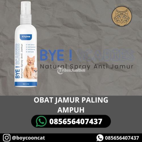 OBAT JAMUR PALING AMPUH