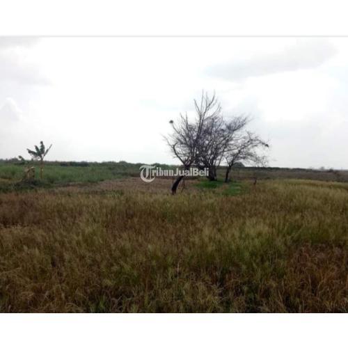 Tanah Industri 10 Ha Babelan - Bekasi