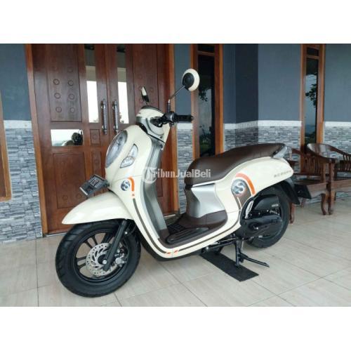 Motor Honda Scoopy Bekas Tahun 2021 Siap Pakai Surat Lengkap Harga Nego ...