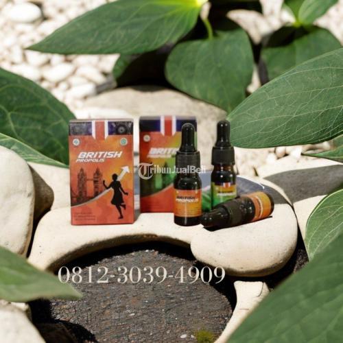 Toko Obat Kista Yang Parah Tasikmalaya Jawa Barat : British Propolis