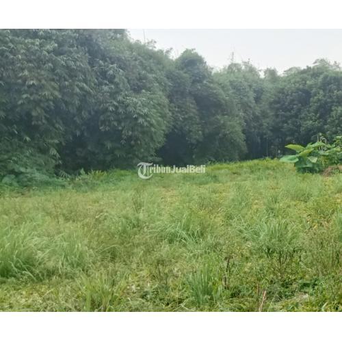 Dijual Tanah Perumahan Luas 19687 m2 Setu - Bekasi