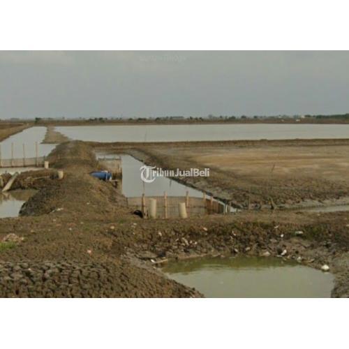 Dijual Tanah 500 Hektar di Tj. Pskis Harga per Meter - Karawang