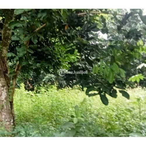 Tanah Komersil 1277 m2 Setu Lokasi Strategis Siap Bangun Bekasi