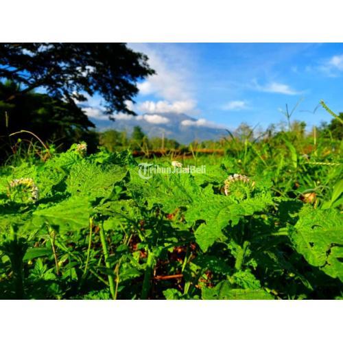 Kavling Prigen Garden: Investasi Properti Bernilai Tinggi di Lokasi Wisata Populer