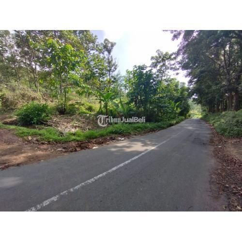 FANTASTIS, PALING MURAH, Call 081336252211 TANAH DIJUAL RAYA TRAWAS