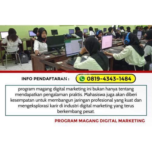 Hub 0819-4343-1484, On Job Training Web Development Wilayah Malang