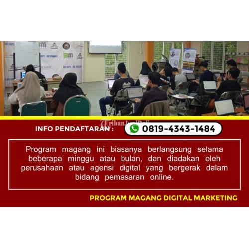 Hub 0819-4343-1484, Rekomendasi PKL Bisnis Digital Terdekat Malang