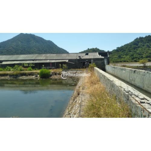 Tanah tambak 50 hektare di Maronge Sumbawa Nusa Tenggara Barat