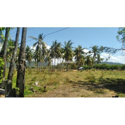 Tanah tambak 50 hektare di Maronge Sumbawa Nusa Tenggara Barat