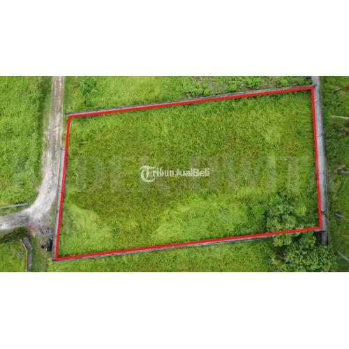 Dijual Tanah 10 Are Hadap Timur di Lodtunduh Ubud Lingkungan Villa - Gianyar