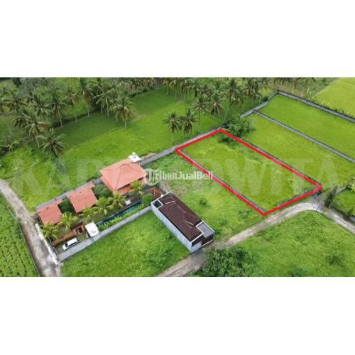 Dijual Tanah 10 Are Hadap Timur di Lodtunduh Ubud Lingkungan Villa - Gianyar