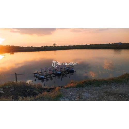 Tanah tambak 20 hektare area Pernang Buer Sumbawa NTB