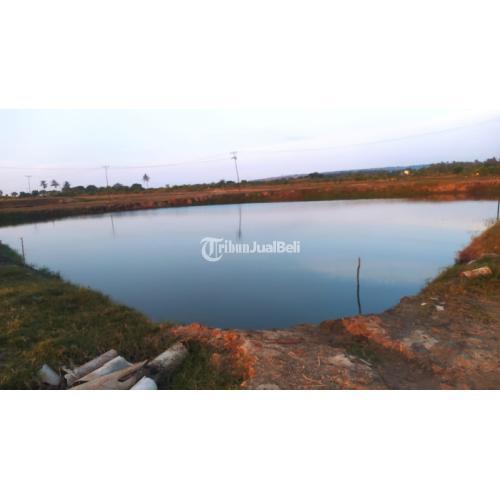 Tanah tambak 20 hektare area Pernang Buer Sumbawa NTB