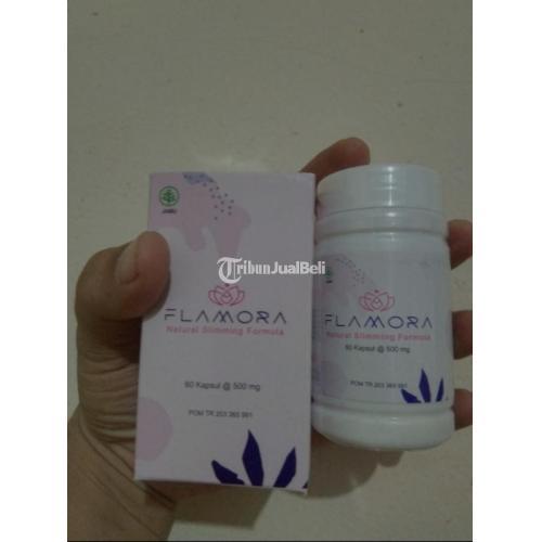 Goldmax Gamat Emas Asli Di Medan