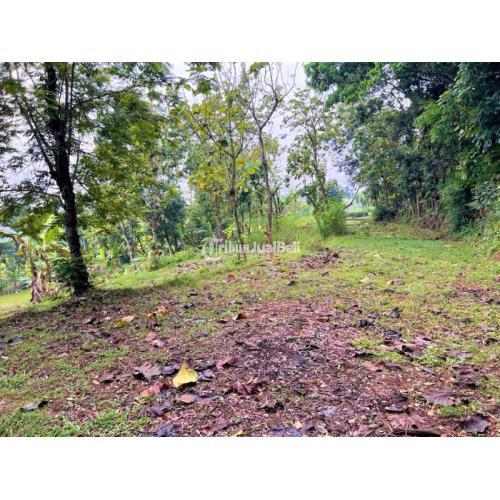 Tanah Murah Mojogedang Karanganyar