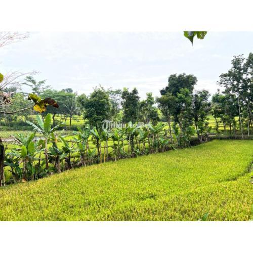 Tanah Murah Mojogedang Karanganyar