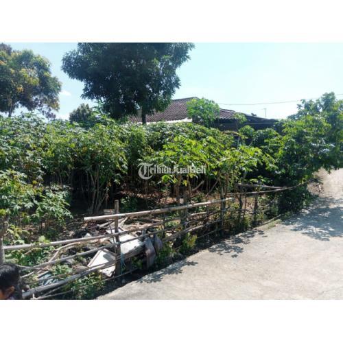 Tanah 164 Murah Plesungan Gondangrejo Karanganyar Solo