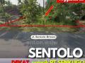 Tanah Sentolo Tepi Jlsentolo Brosot Luas 1038 M2 Ld 9 M SHM Pekaranga  Kulon Progo Yogyakarta