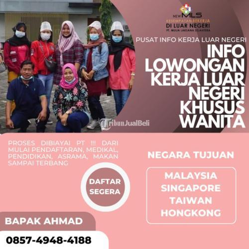 Pjtki Resmi Terdekat Kediri New MLS, PT Mulia Laksana Sejahtera 0857-4948-4188