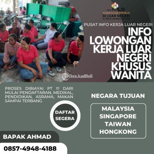 Pjtki Resmi Terdekat Kediri New MLS, PT Mulia Laksana Sejahtera 0857-4948-4188