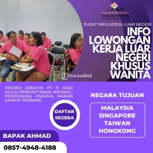 Pjtki Resmi Terdekat Kediri New MLS, PT Mulia Laksana Sejahtera 0857-4948-4188