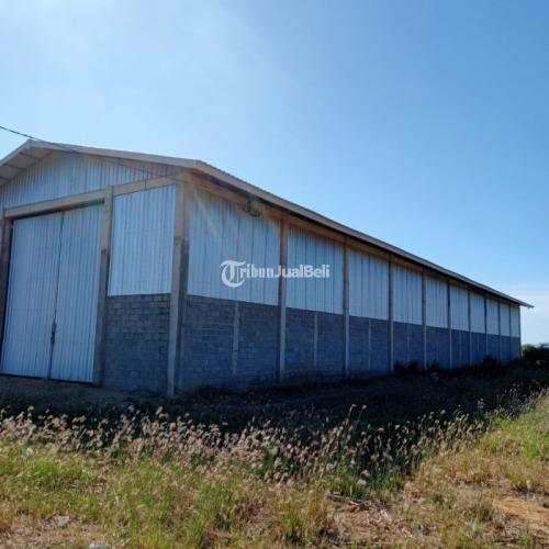 Tanah tambak 40 hektare pinggir pantai di Plampang Nusa Tenggara Barat