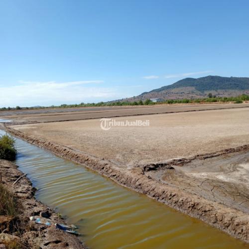 Tanah tambak 40 hektare pinggir pantai di Plampang Nusa Tenggara Barat