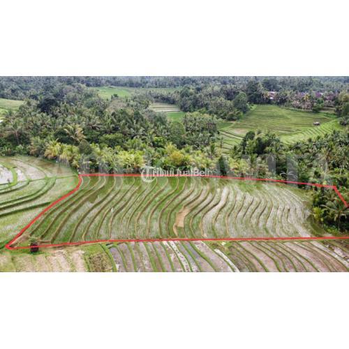 Tanah murah dekat exit toll antasari tabanan