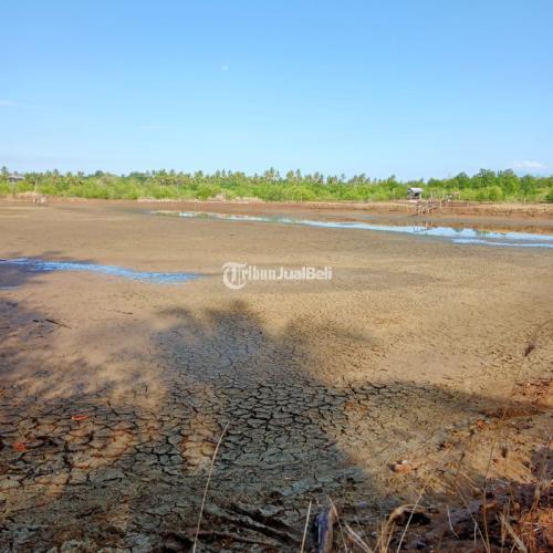 Tanah tambak 5,8 hektare di area Buer Sumbawa Nusa Tenggara Barat