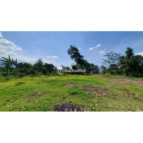 Investasi Properti Ideal: Tanah Strategis Taman Dayu di Pandaan