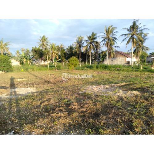 tanah dijual murah milik pribadi dekat kantor pos karang anyar lampung selatan harga murah meriah