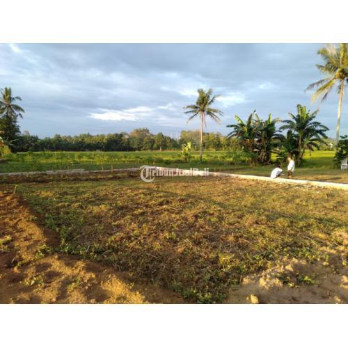 tanah dijual murah milik pribadi dekat kantor pos karang anyar lampung selatan harga murah meriah