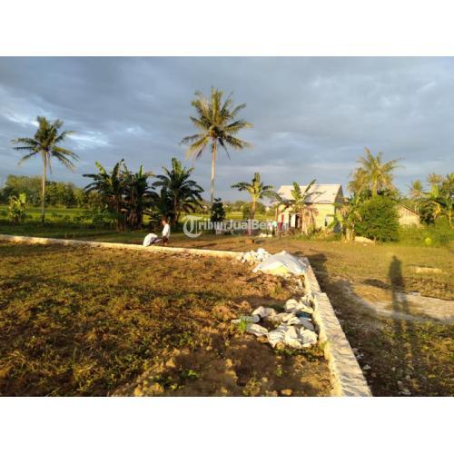 tanah dijual murah milik pribadi dekat kantor pos karang anyar lampung selatan harga murah meriah