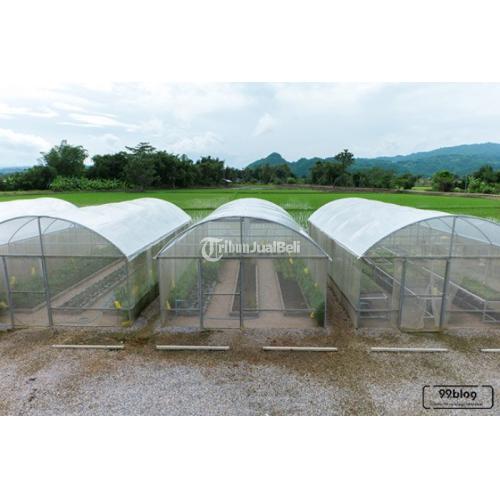 PLASTIK UV KANDANG KAMBING HARGA EKONOMIS