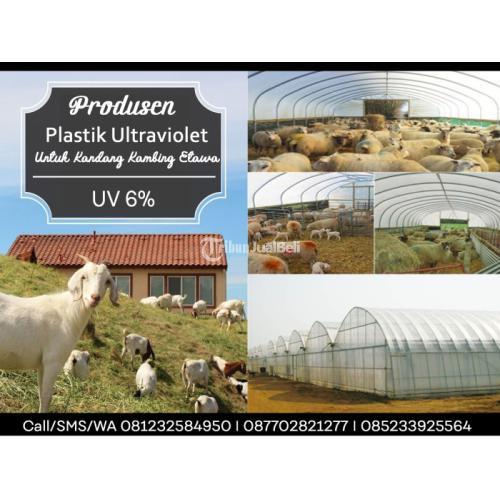 PLASTIK UV KANDANG KAMBING HARGA EKONOMIS