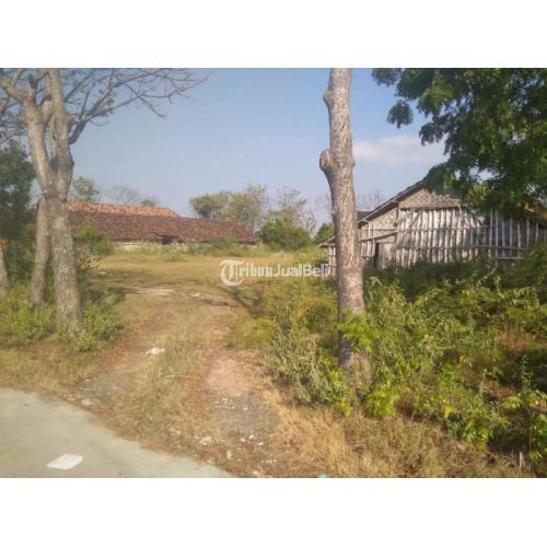 Tanah 2000 m2 bonus gudang penyimpanan garam Rembang Jawa Tengah