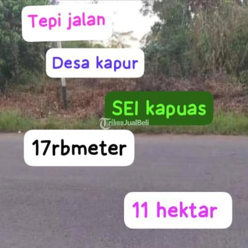Jual tanah desa kapur sampai sungai Kapuas