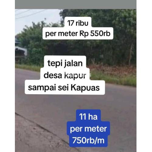 Jual tanah desa kapur sampai sungai Kapuas