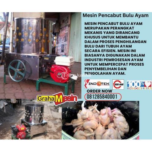 Mesin Pencabut Bulu Ayam Graha Mesin Di Malang - Tribun JualBeli