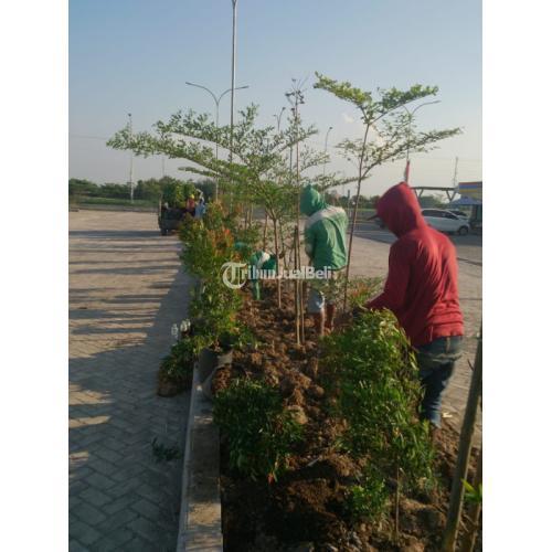 Jasa Taman - Jasa Taman Rumah & Jasa Taman Perusahaan