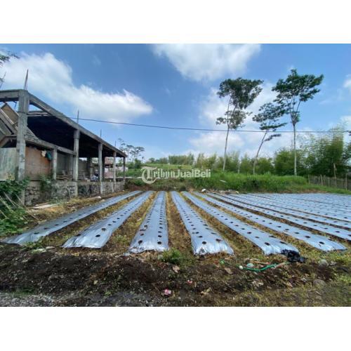 JANGAN LEWATKAN KESEMPATAN INVESTASI KAVLING MURAH SUDAH SHM DI JOYOAGUNG