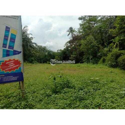 KAVLING SAWAH PALING DICARI DI MUNGKID, UKURAN KAVLING BERVARIASI