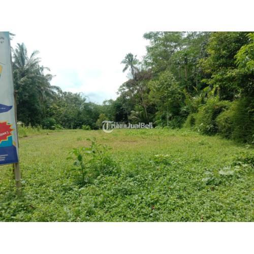 KAVLING SAWAH PALING DICARI DI MUNGKID, UKURAN KAVLING BERVARIASI