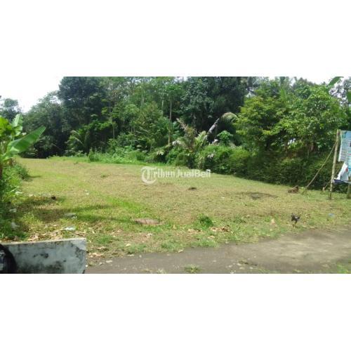 KAVLING SAWAH PALING DICARI DI MUNGKID, UKURAN KAVLING BERVARIASI