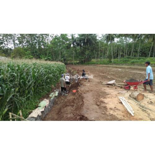 KAVLING SAWAH PALING DICARI DI MUNGKID, UKURAN KAVLING BERVARIASI