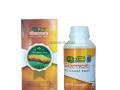 Agen Resmi Qnc Jelly Gamat  - Lombok