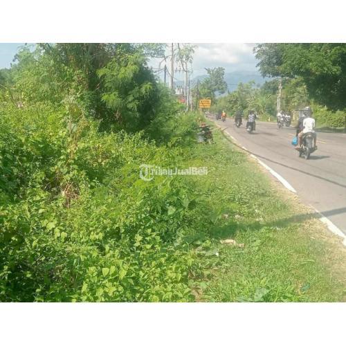 TANAH DITEPI JALAN NEGARA COCOK UNTUK BUKA USAHA MAUMERE-LARANTUKA
