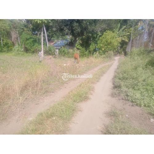 TANAH RATA COCOK UNTUK BANGUN GUDANG,RUMAH  SIKKA-NTT