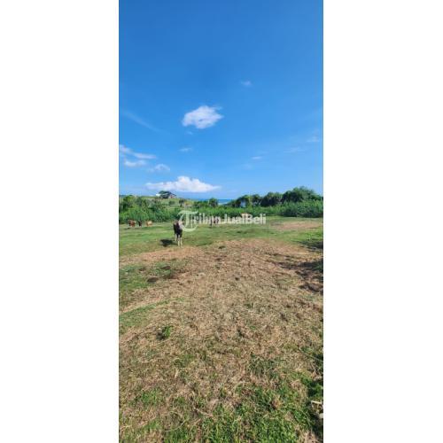 Tanah Pantai nyanyi LT3600 Harga Terjangkau Siap Bangun Tabanan