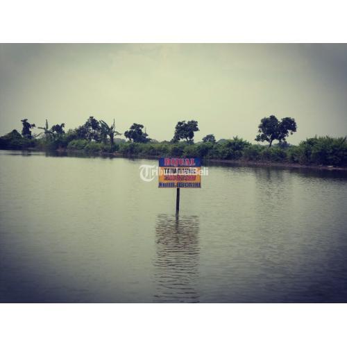 Dijual Tanah Tambak Lokasi Strategis - Tuban